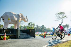 BIB: 
                            <button type="button" onclick="openModal(26183003)" class="btn btn-primary btn-sm float-right btn-popup" data-toggle="modal" data-target=".modal-high-quality">
                        <i class="fas fa-shopping-cart"></i> Add to Cart
                    </button>
                                            <button type="button" onclick="isThisMe(26183003, true)" class="btn btn-success btn-sm float-right btn-popup btn-isme hidden" data-toggle="tooltip" data-placement="bottom" title="นี่คือรูปของคุณใช่ไหม คลิกที่นี่เพื่อเอาเข้าอัลบั้ม">
                        <i class="fas fa-plus"></i> Add to album
                    </button>
                    <button type="button" onclick="isThisMe(26183003, false)" class="btn btn-warning btn-sm float-right btn-popup btn-isnotme hidden">
                        <i class="fas fa-ban"></i> Remove from album
                    </button>